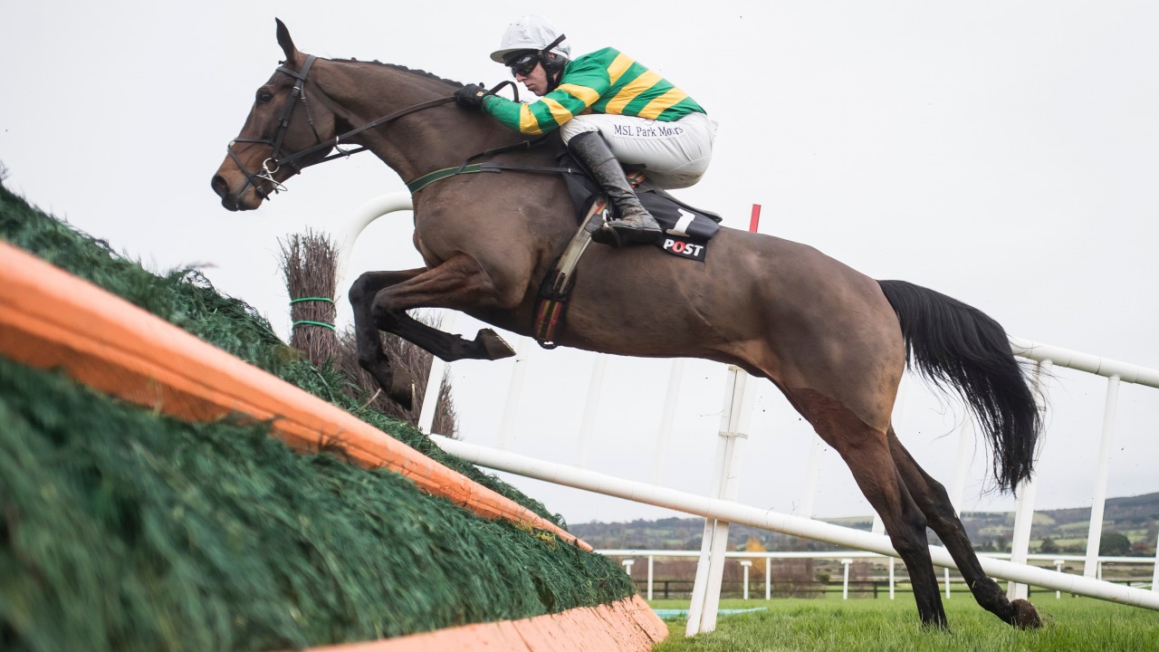 any second now horse grand national odds