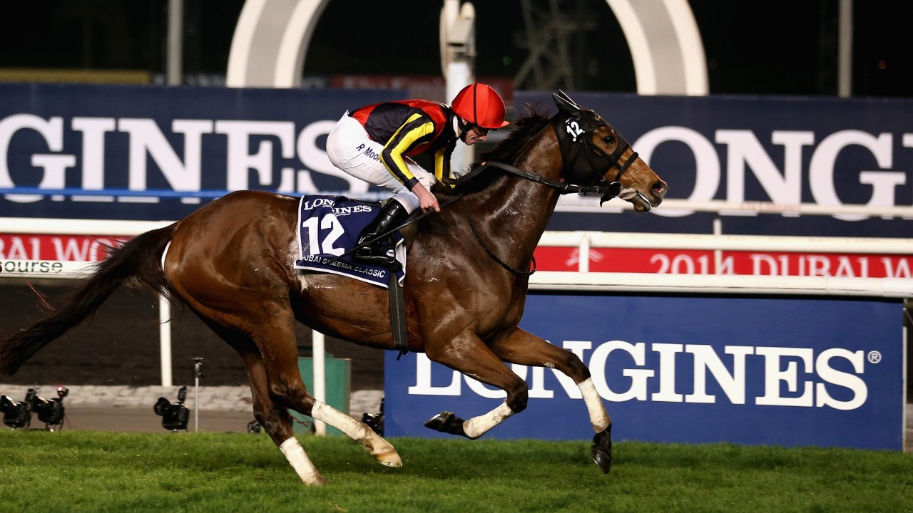 Gentildonna S Deep Impact Sister Donna Attraente Obliges On Debut Bloodstock News Racing Post