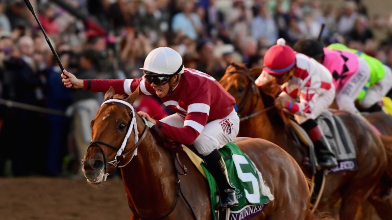 Gun Runner: unassailable on final start of wonderful career in Pegasus World Cup