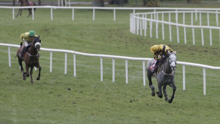 Beef Or Salmon was off the menu at the final but finished up as the primary training course | Horse Racing News Beef Or Salmon was off the menu at the final but finished up as the primary training course | Horse Racing News