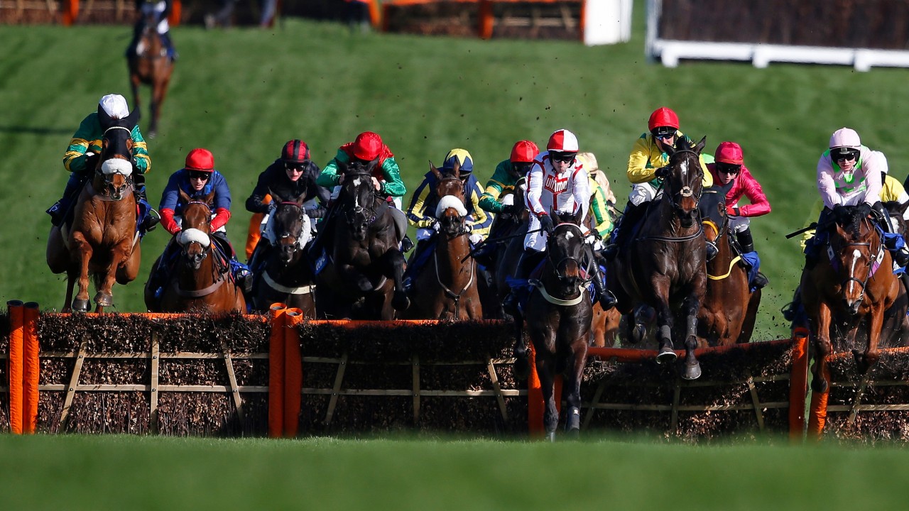 Ridiculous Mick Easterby Blasts Bha Over New Rule On Shoeing Horse Racing News Racing Post Ridiculous Mick Easterby Blasts Bha Over New Rule On Shoeing Horse Racing News Racing Post