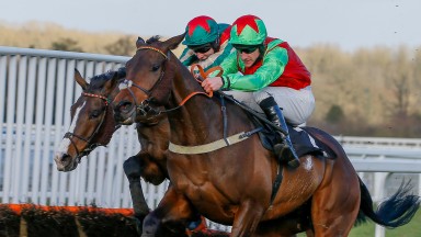 Le Patriote has decent chance of following up his Ascot success