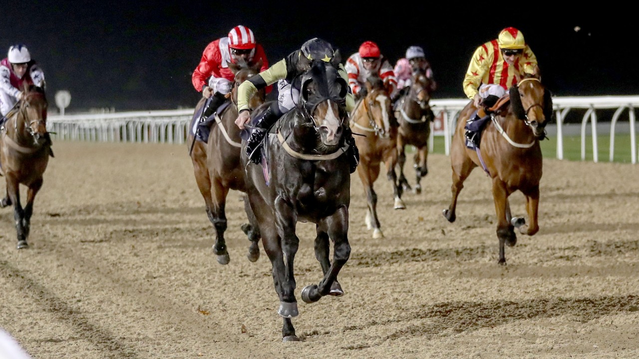 Tonight's racing three worth watching on the allweather at Newcastle