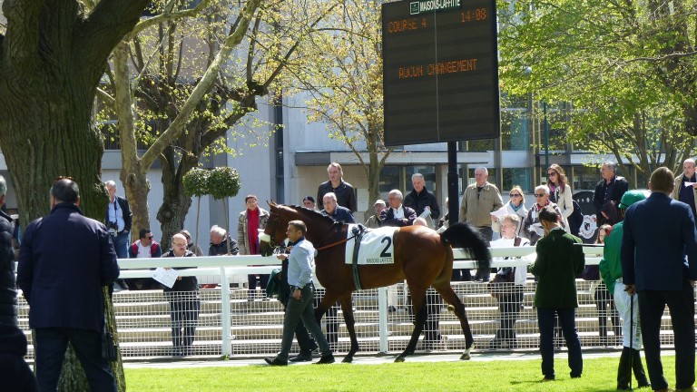 The parade ring at Maisons-Laffitte