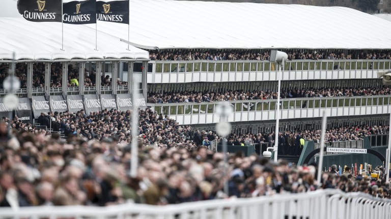 Standing room only at the Cheltenham Festival