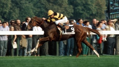 Trempolino and Pat Eddery come home clear in the 1987 Prix de l'Arc de Triomphe at Longchamp.
