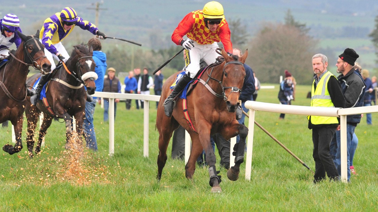 Image result for point to point ireland