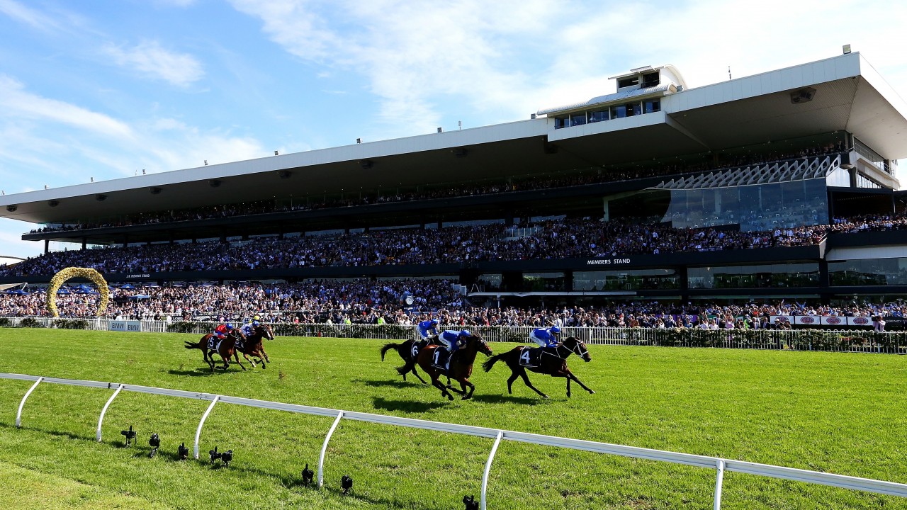 The Golden Eagle Divides Opinion As Size Hopes Prawn Can