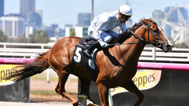 Kings Will Dream powers to the fourth of his five Australian wins at Flemington this month