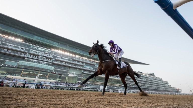 Mendelssohn is in a league of his own in the UAE Derby