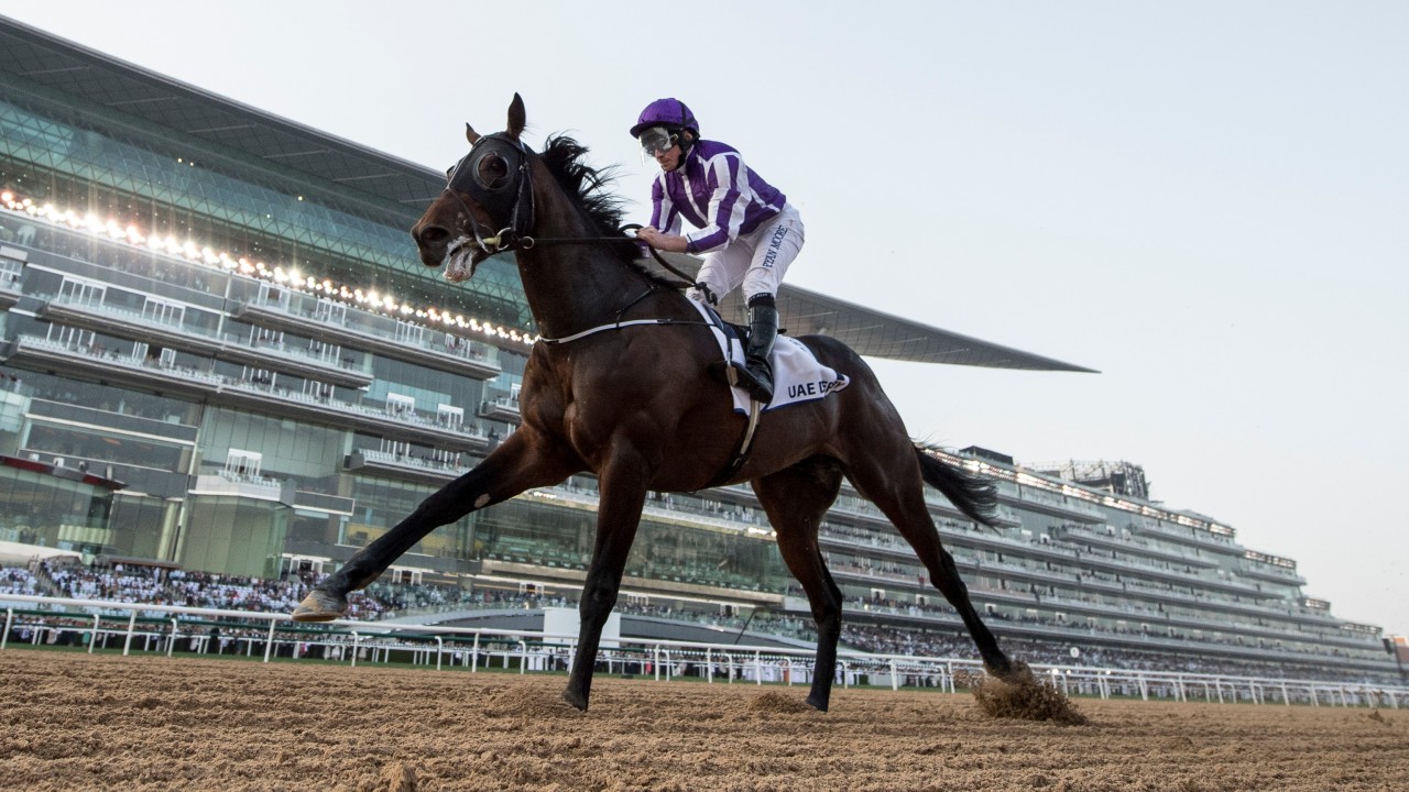 Image result for mendelssohn uae derby