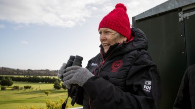 Jessica Harrington is not the only one eyeing Leopardstown's open spaces
