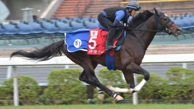 Satono Aladdin: is a Grade 1-winning son of Deep Impact