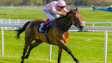 Lah Ti Dar: three-year-old is by Darley's flagship sire Dubawi