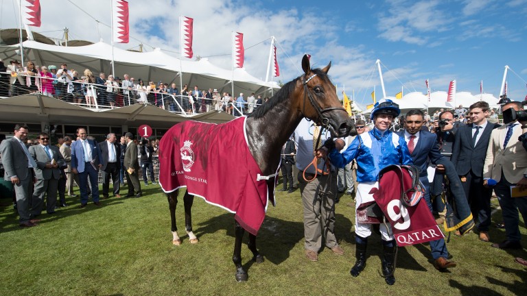 Battaash and Jim Crowley soak up the adulation after winning the King George Stakes at Glorious Goodwood last year