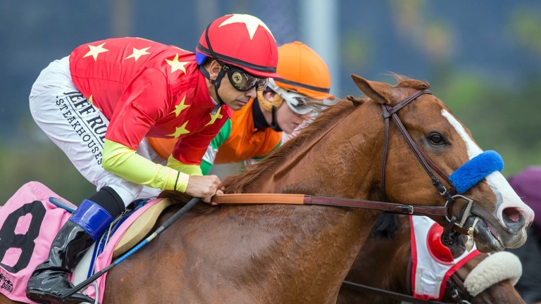 Justify: landed the US Triple Crown for owners including the China Horse Club