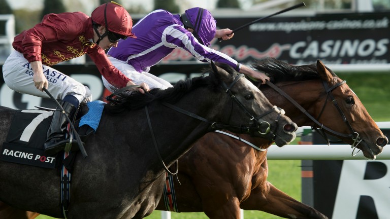 Saxon Warrior (far side) beat Roaring Lion in the Racing Post Trophy last season, but Qatar Racing's colt turned the tables at Sandown