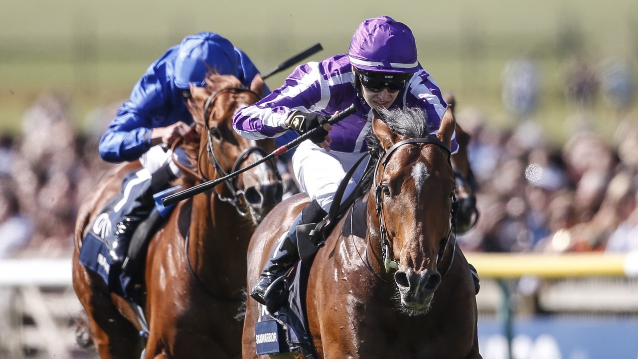 Image result for Saxon Warrior 2000 guineas