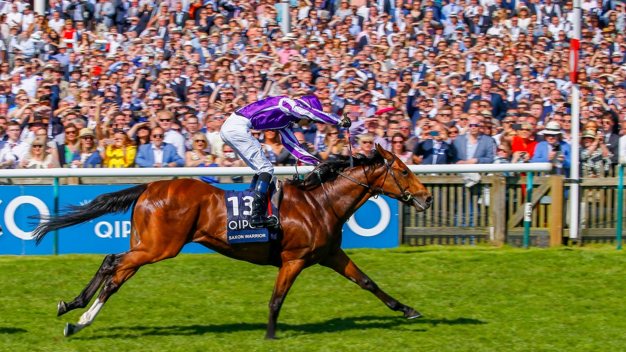 Image result for Saxon Warrior 2000 guineas