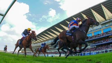 Order Of St George, winner of the Gold Cup in 2016, takes top billing on RPRs
