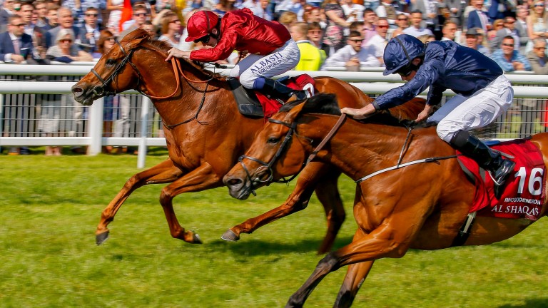 Lightning Spear (far side) looked like he had won the Lockinge Stakes – but looks were deceptive