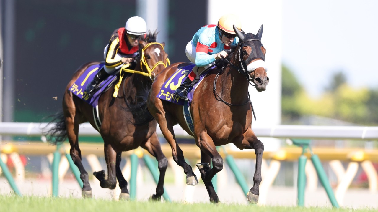 Almond Eye following Gentildonna's path to Triple Crown glory Horse Racing News Racing Post