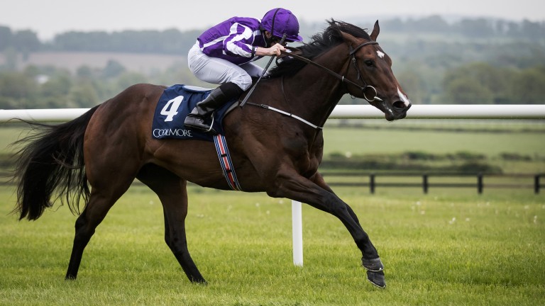 Exciting juvenile Sergei Prokofiev strides out well to boost his Royal Ascot claims