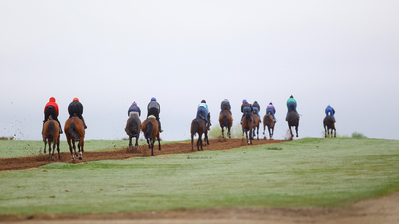 D Day As Irish Racing Awaits News Of A Possible Earlier Resumption Date