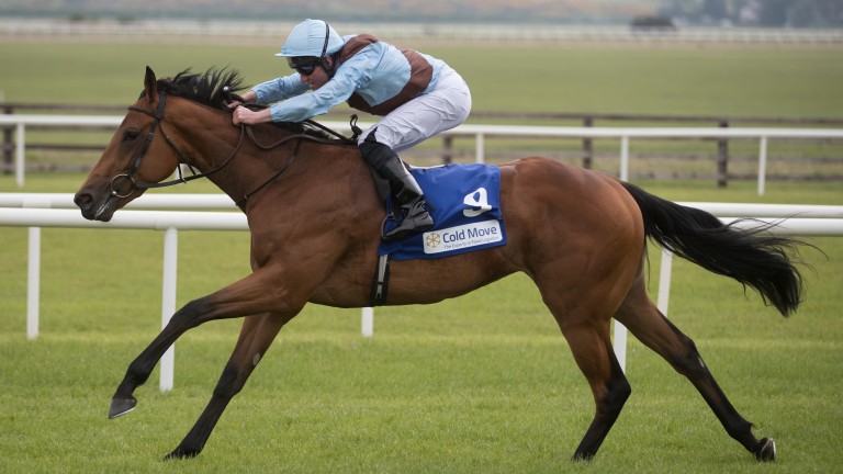 Fairyland: won the Marble Hill Stakes before achieving Group 1 glory in the Cheveley Park Stakes