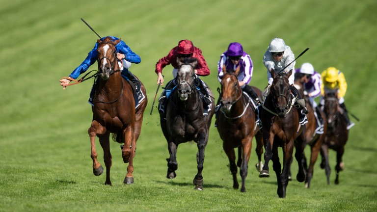 Saxon Warrior (purple) suffered trouble in running but ultimately failed to pick up under Ryan Moore