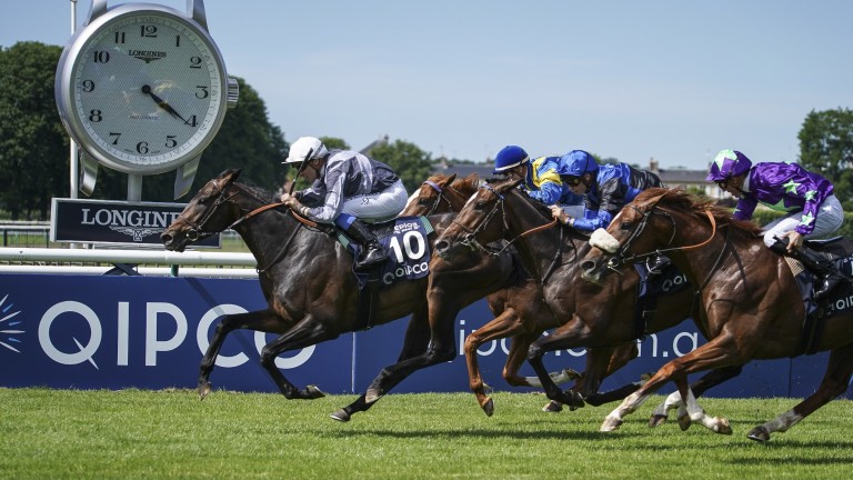 Prix du Jockey Club hero Study Of Man is back in action at Deauville