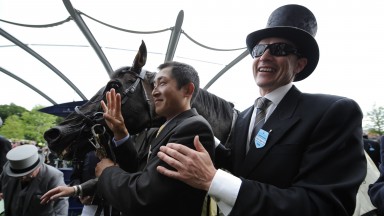 Man in the arena: Aidan O'Brien and Yeats after winning the Gold Cup for the fourth time