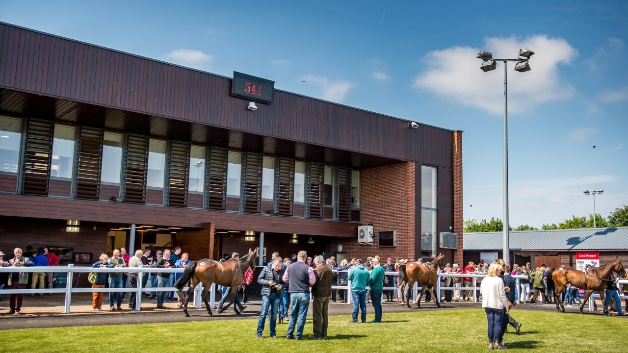 Goffs UK adds mixed December Sale to Doncaster auction calendar