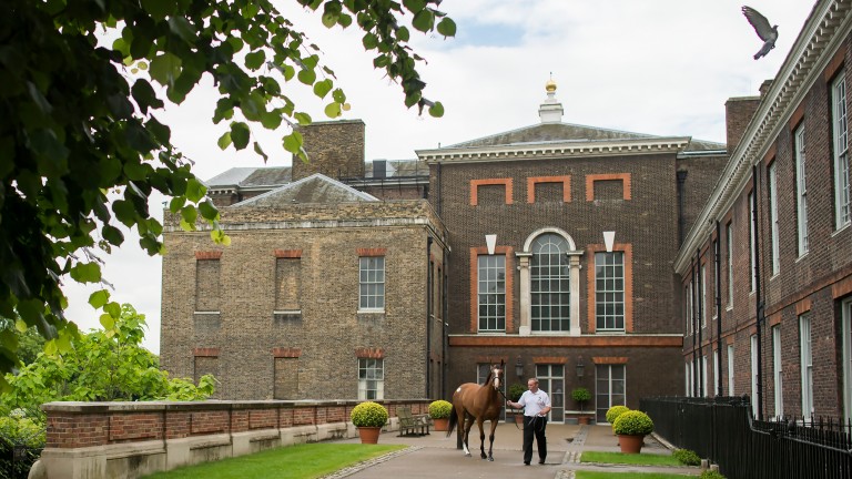 Kensington Palace provides the setting for the annual Goffs London Sale