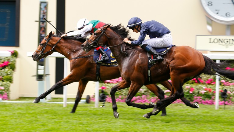 Without Parole seeks a second Group 1 success in the Sussex Stakes with his nearest Royal Ascot victim, Gustav Klimt, among his opponents