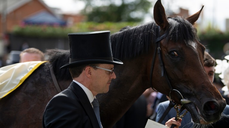 Kew Garden's in the winner's enclosure with Aidan O'Brien, who trained the first three home
