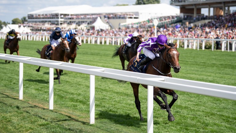 Kew Gardens storms to a four-and-a-half-length victory in the Queen's Vase