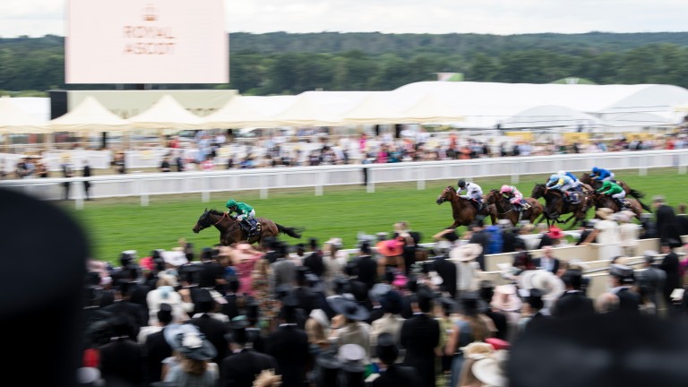 Aljazzi (William Buick) wins the Duke Of Cambridge Stakes