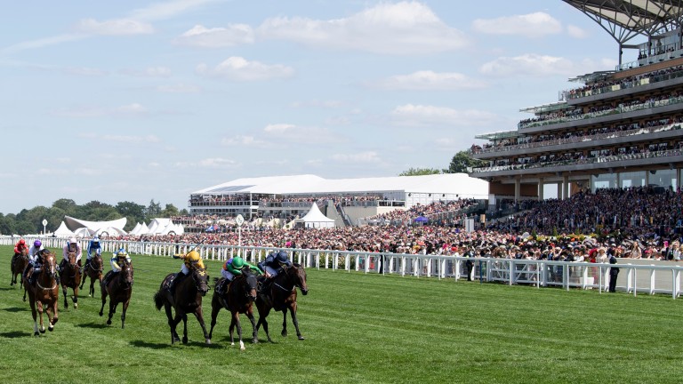 Shang Shang Shang (Joel Rosario, third right), wins the Norfolk Stakes for Wesley Ward