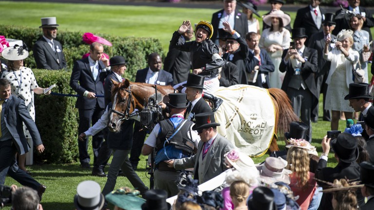 Super six: Frankie Dettori celebrates a sixth Gold Cup success aboard the Bjorn Nielsen-owned and John Gosden-trained Stradivarius