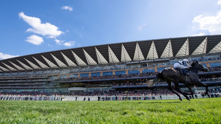 Out of this world: Alpha Centauri comes home clear in the Coronation Stakes