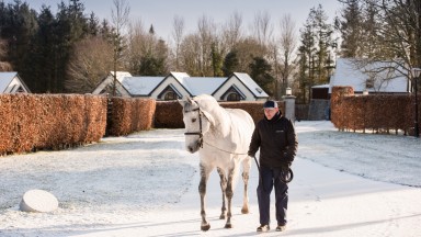 Mastercraftsman @ Coolmore 28/2/2018