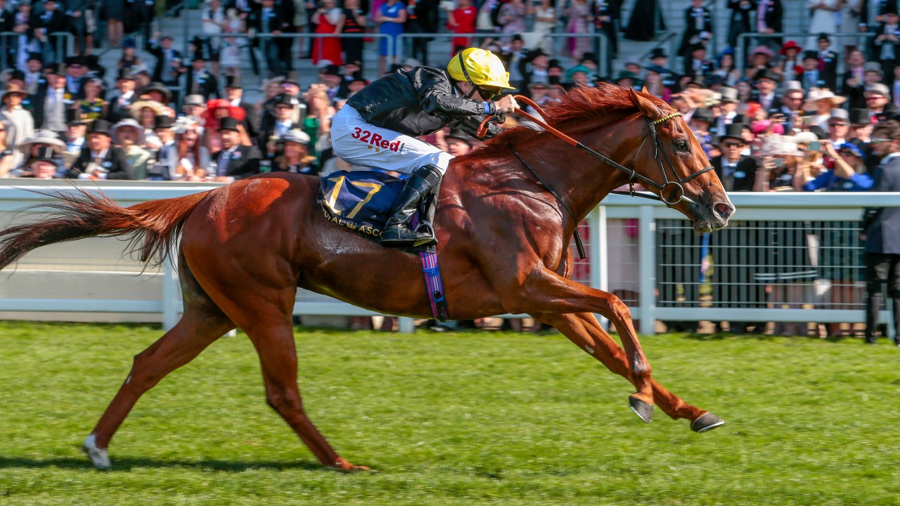 The jockeys, trainers and owners to help you beat the bank at Royal