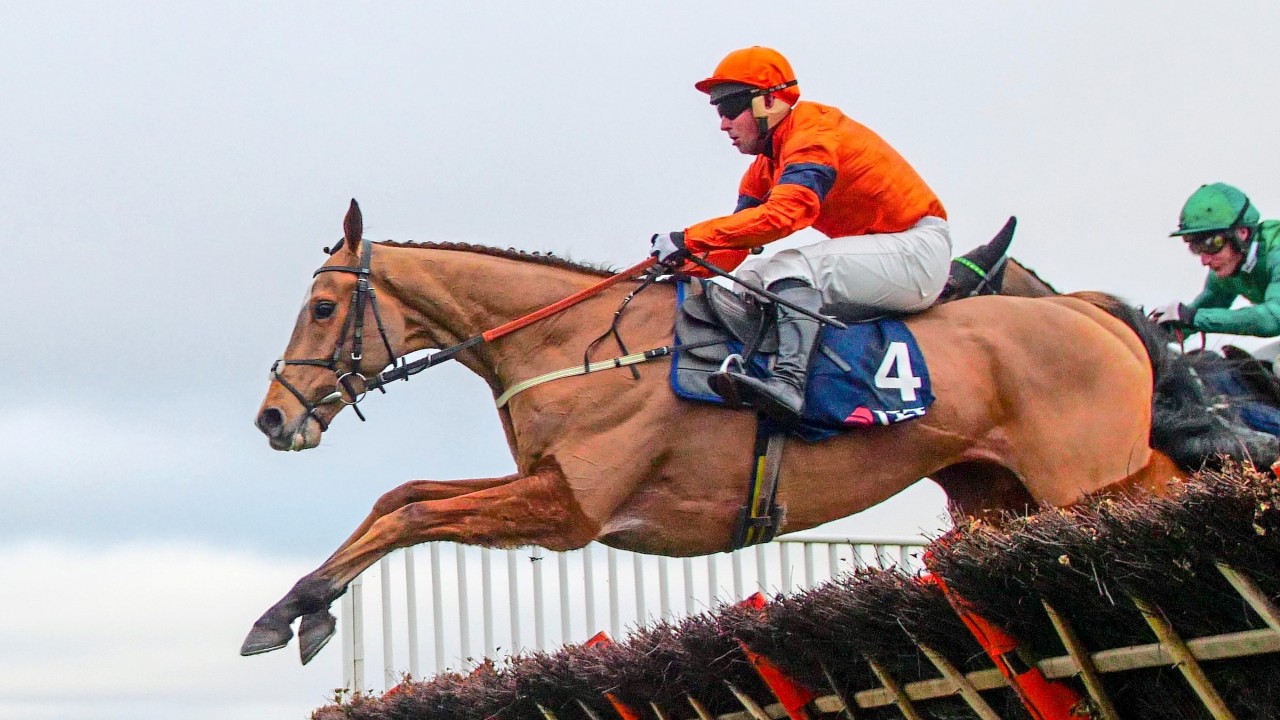 black sam bellamy brother galileo group 1 sire black sam bellamy brother galileo group 1 sire
