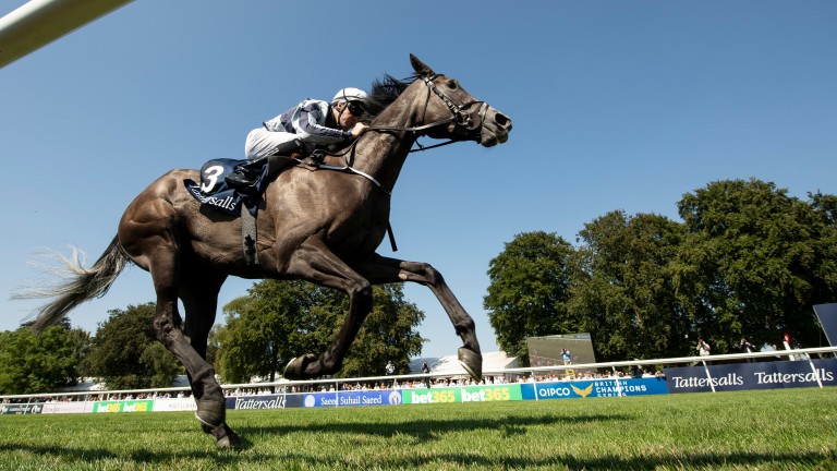 Alpha Centauri coming home in front in the Falmouth