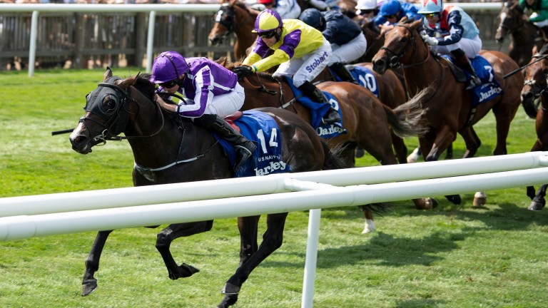 US Navy Flag takes victory by a length and three-quarters from Brando