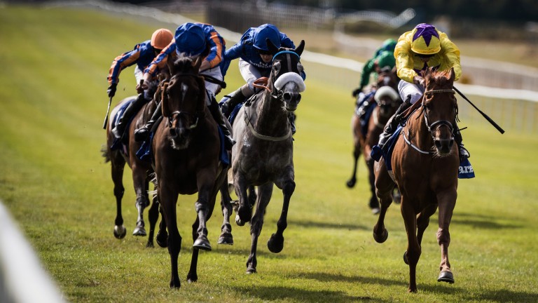 Pipped to the post: Sea Of Class (right) heads Forever Together at the post at the Curragh