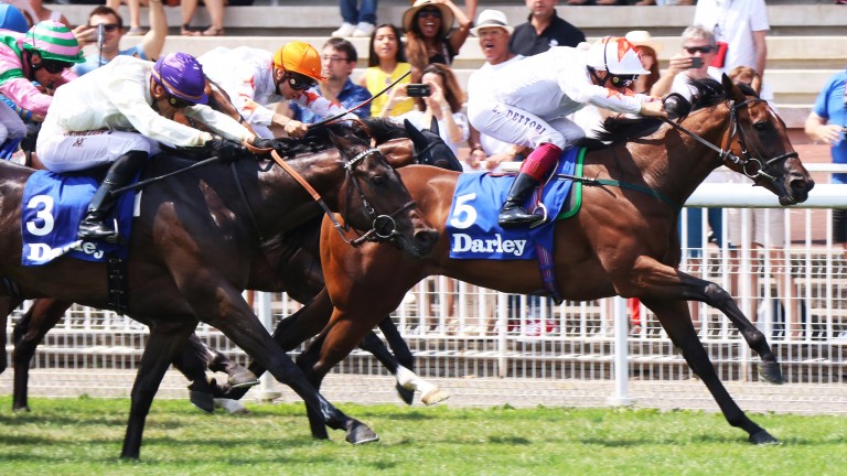 Signora Cabello winning the Darley Prix Robert Papin