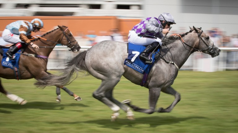 Havana Grey and PJ McDonald are too quick for their rivals in the Sapphire Stakes