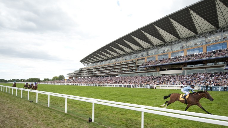 Harbinger and Olivier Peslier romp home by 11 lengths in the 2010 King George